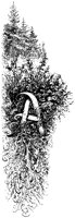 A - Plants and Trees.tif