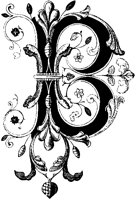 B - Ornamental Plant.tif