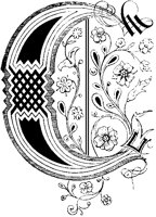 C - Ornamental Plant.tif