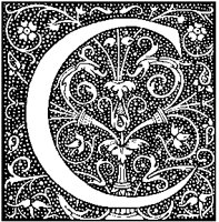 C - Pointillist Plant.tif