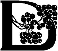 D - Berries.tif