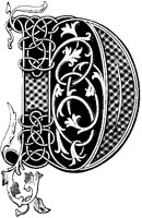 D - Ornamental Plant.tif