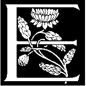 E - Floral.tif