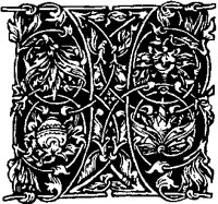 I - Curves and Leaves.tif