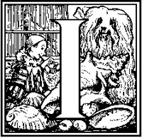 I - Shells and Doggy.tif