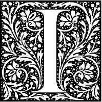 I - Symmetric Plant.tif