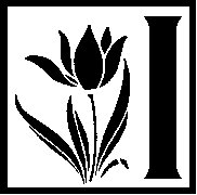 I - Tulip.tif
