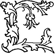 L - Hanging Flower.tif