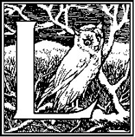 L - Owl.tif