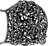 N - Curves and Leaves.tif