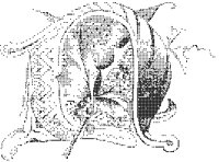 N - Holly.tif