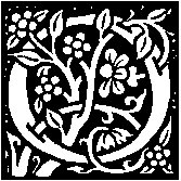 O - Leaves and Flowers.tif