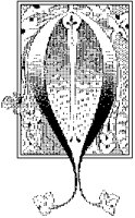 O - Long-Tailed.tif