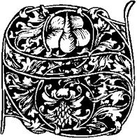 S - Curves and Leaves.tif