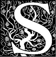 S - Wavy Tree.tif