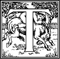 T - Boy on Donkey.tif