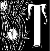 T - Floral 2.tif