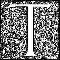 T - Pointillist Plant.tif