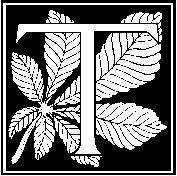 T - Strawberry Leaf.tif