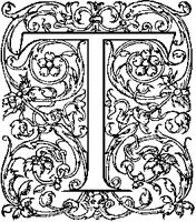 T - Symmetric Plant.tif