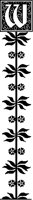 W - Stylized Vine.tif