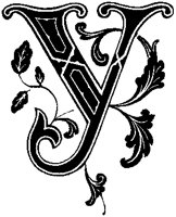 Y - Ornamental Plant.tif