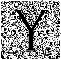 Y - Swirls.tif