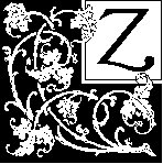 Z - Plant.tif