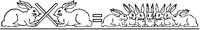 Multiplying Rabbits 2.tif