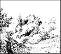 Head Hidden in Landscape 3.tif