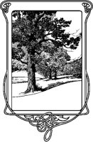Boy Reading under Tree.tif