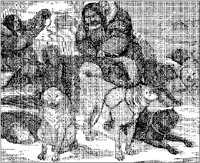 Eskimos and Dogs.tif