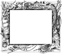 Ute Border.tif