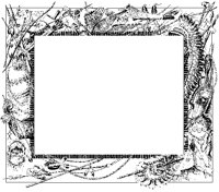 Ute Border Wide.tif