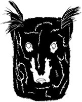 Animal Mask.tif