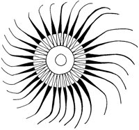 Native American Sun Design 1.tif