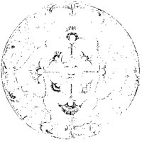 Face in Plate.tif
