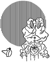 Clown Handstand.tif