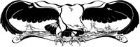 Eagle with Battleships.tif