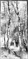 Couple by Birches.tif