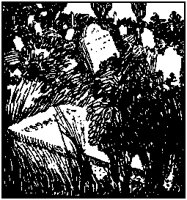 Graves Closeup.tif