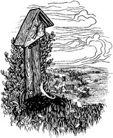 Lizard on Grave.tif