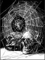 Cobwebbed Skulls.tif