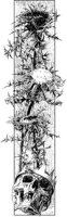 Skull and Thistles.tif