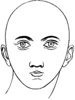 Bald Man's Head.tif