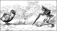 Dodo Discovered.tif