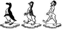 Penguin to Man Transformation.tif