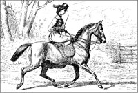 Lady Rider on Trotting Horse.tif