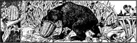 Bear Stealing Honey.tif