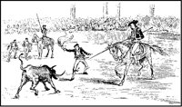 Bullfight.tif